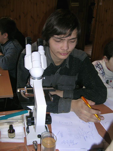 a12.jpg