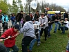 d44.jpg